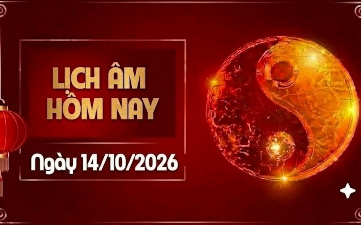 Tử vi 12 con giáp 14/10: Sửu vận khí hanh thông, Dần tài lộc cải thiện - Ảnh 3.
