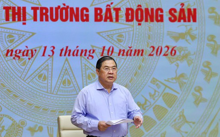 Phó Thủ tướng yêu cầu phát triển nhà ở phù hợp khả năng của người dân - Ảnh 7.