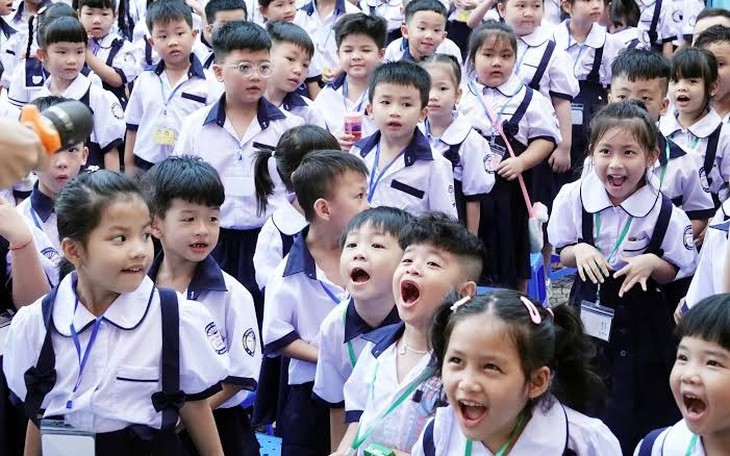 Phó Thủ tướng yêu cầu không sắp xếp trường học cơ học, cào bằng- Ảnh 1.