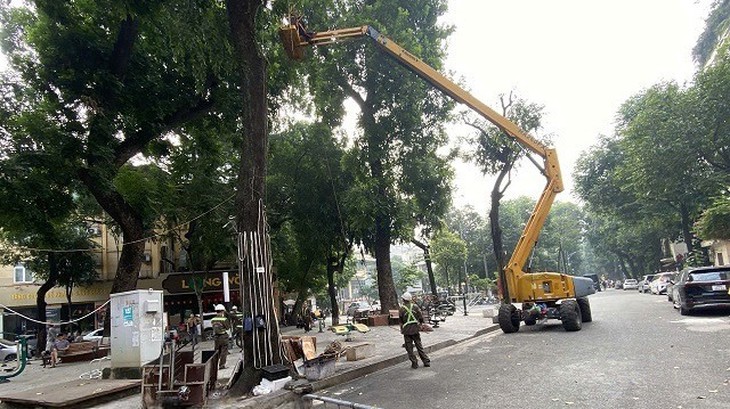 Hà Nội chăm sóc gần 70.000 cây xanh thế nào để đẹp phố, an toàn mùa bão?- Ảnh 5.