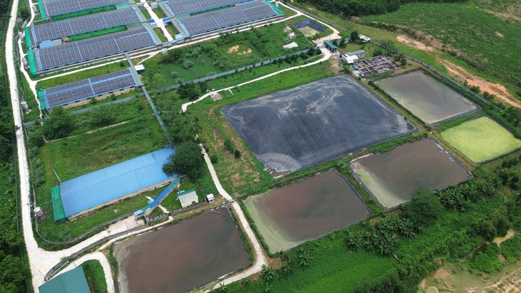 Phạt hơn 663 triệu đồng các trang trại lợn vi phạm môi trường ở Thanh Hóa - Ảnh 2.