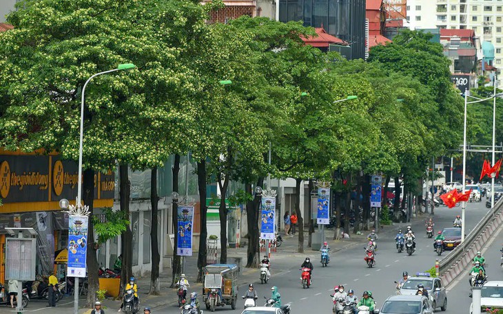 Vì sao hoa sữa lại là 'ác mộng' với nhiều người?- Ảnh 3.