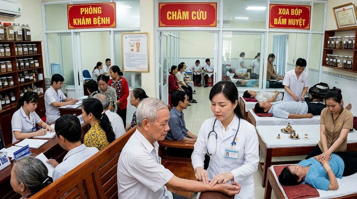 Chiến lược quốc gia phát triển nền y học cổ truyền Việt Nam giai đoạn 2030-2045- Ảnh 1.
