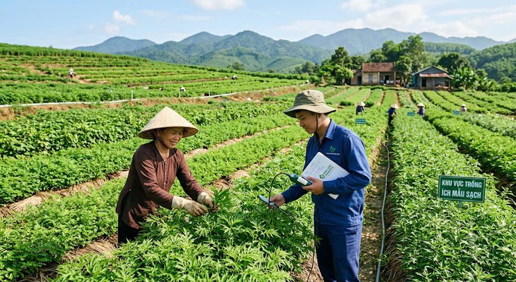 Đẩy mạnh công nghệ, chuyển đổi số, hiện đại hóa y học cổ truyền Việt Nam - Ảnh 1.