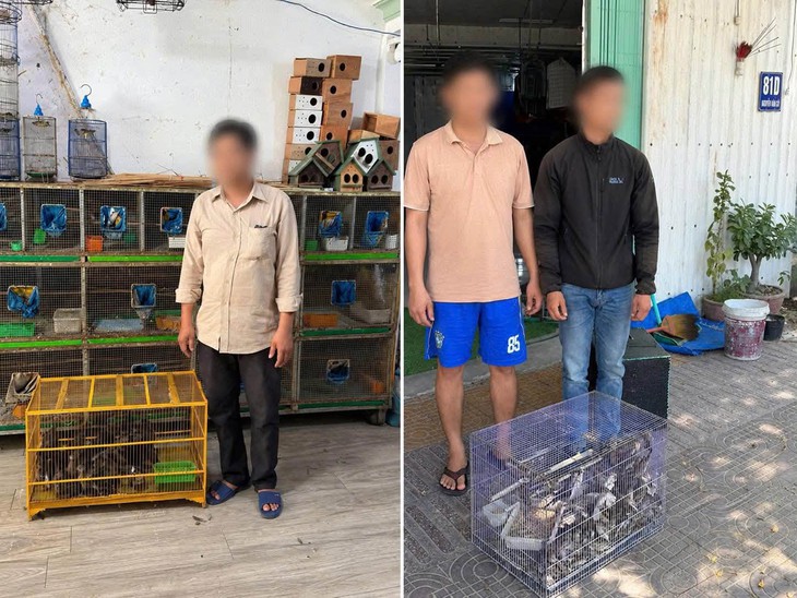 Công an phát hiện hàng trăm cá thể chim không rõ nguồn gốc ở Khánh Hòa- Ảnh 1.