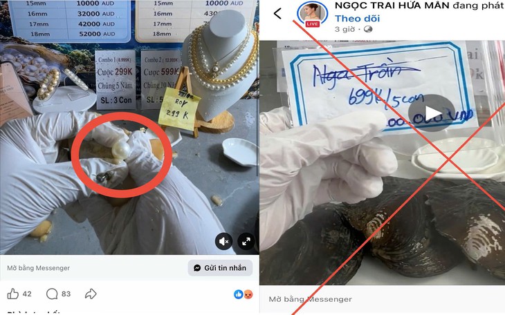 Tiếp tục khởi tố thêm bị can trong vụ án vận chuyển trái phép đất hiếm  - Ảnh 2.
