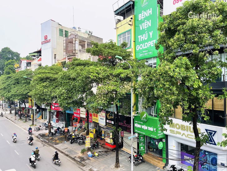 Hà Nội rà soát mật độ hoa sữa để bảo vệ sức khỏe người dân 2026 - Ảnh 2.