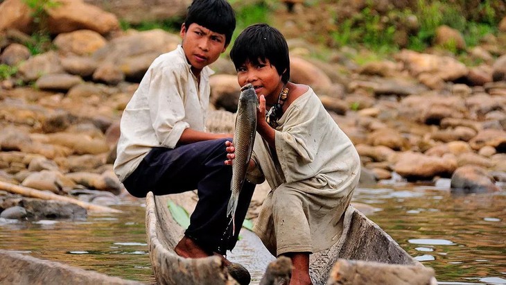 Con người hiện đại đang mất dần hệ vi khuẩn đường ruột của tổ tiên - Ảnh 1.