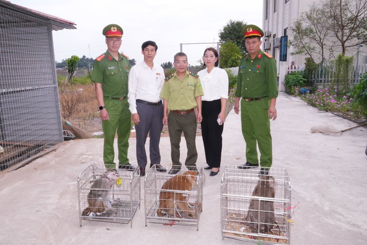 Nhiều người dân Hải Phòng bắt được cá thể khỉ quý hiếm đi lạc - Ảnh 1.