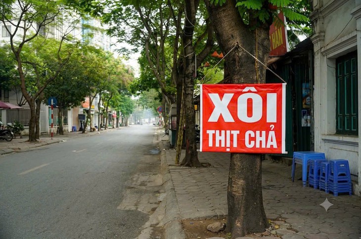 Từ 22/10/2026, cấm treo, gắn biển quảng cáo, biển hiệu lên cây xanh công cộng- Ảnh 1.