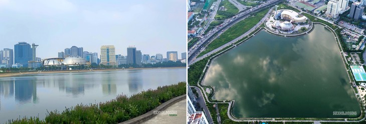 Thảm hoa violet Nhật ở Công viên An Hoà hút giới trẻ đến check-in- Ảnh 1.
