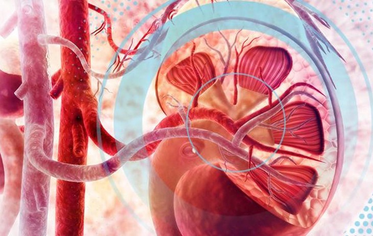 Hy vọng về thuốc trị dứt điểm chứng viêm thận lupus chết người bị dập tắt?- Ảnh 1.