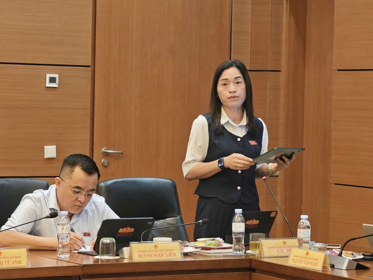 ĐBQH: Đủ điện, xăng dầu là điều kiện tiên quyết để tăng trưởng 2 con số- Ảnh 3.