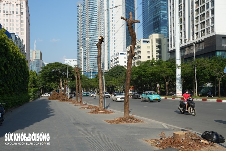 Chặt cây xanh, làm hầm chui qua Vành đai 3 - Ảnh 1.