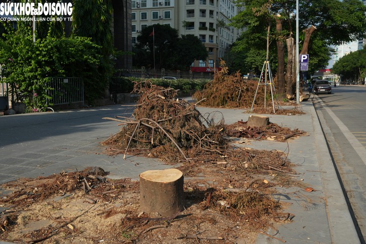 Chặt cây xanh, làm hầm chui qua Vành đai 3 - Ảnh 3.