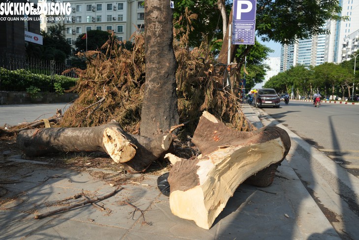 Chặt cây xanh, làm hầm chui qua Vành đai 3 - Ảnh 5.