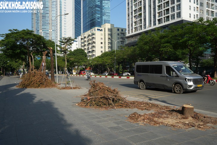 Chặt cây xanh, làm hầm chui qua Vành đai 3 - Ảnh 2.