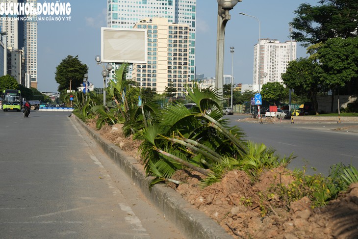 Chặt cây xanh, làm hầm chui qua Vành đai 3 - Ảnh 6.