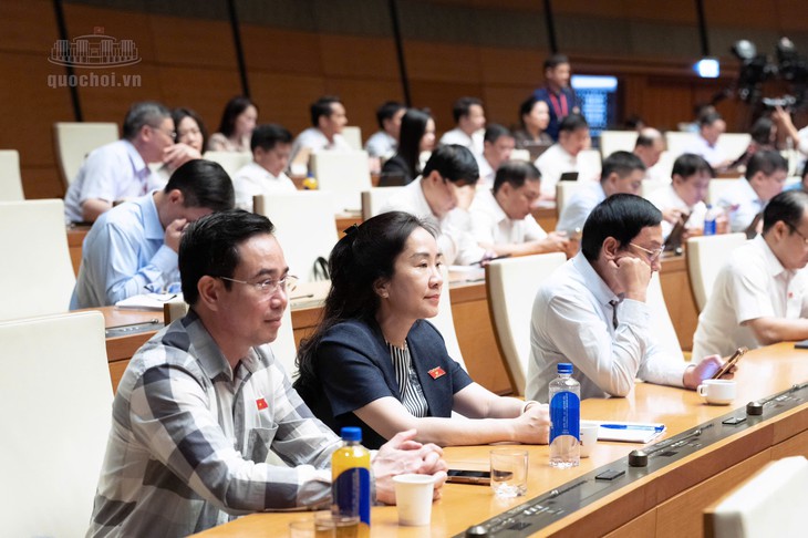 Đề xuất siết điều kiện nhận con nuôi, ngăn chặn tình trạng môi giới trục lợi - Ảnh 3.