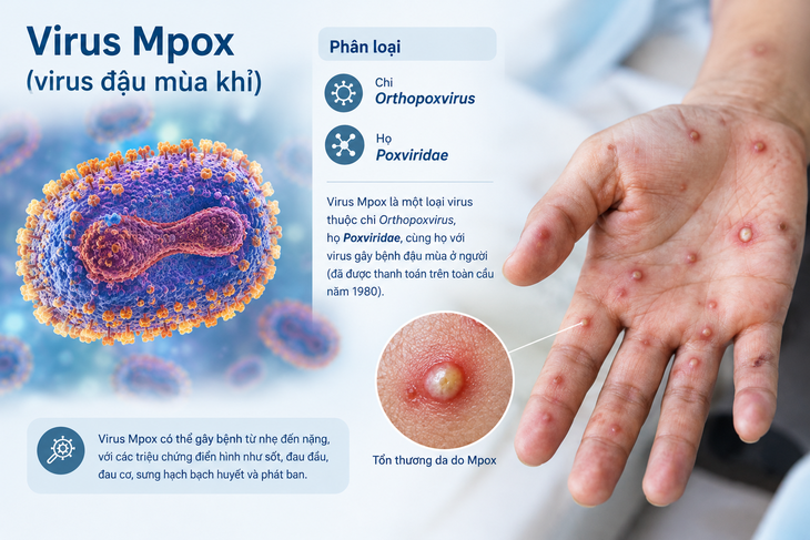 Đậu mùa khỉ đã thay đổi như thế nào sau đợt bùng phát toàn cầu? - Ảnh 1.