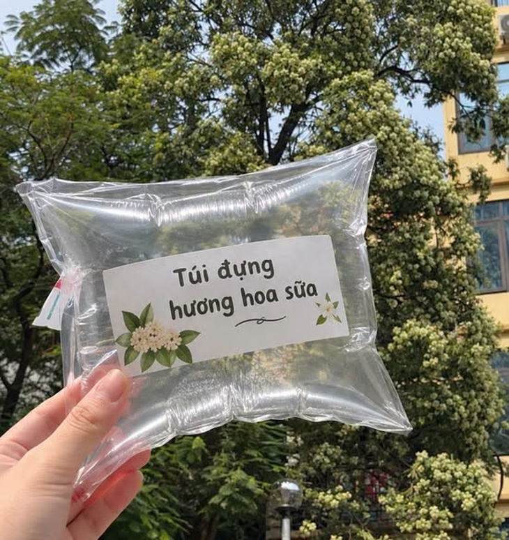 Loạt ảnh độc lạ về trend hoa sữa: Từ đồ uống đến quà tặng 20/10 - Ảnh 3.