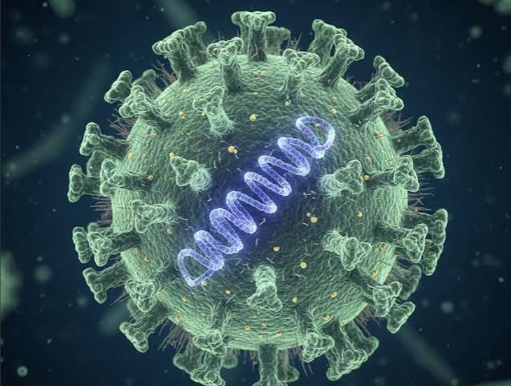 Virus Nipah nguy hiểm thế nào, dấu hiệu nhận biết và cách phòng bệnh - Ảnh 1.