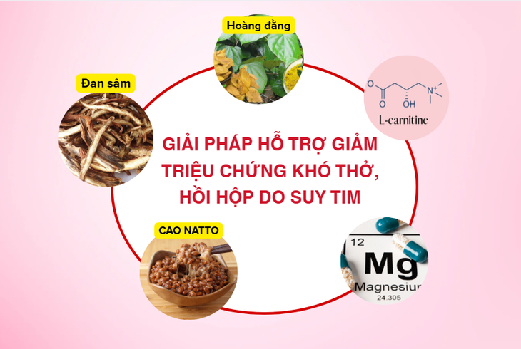 Bệnh tim mạch tiến triển âm thầm như thế nào theo thời gian?- Ảnh 2.