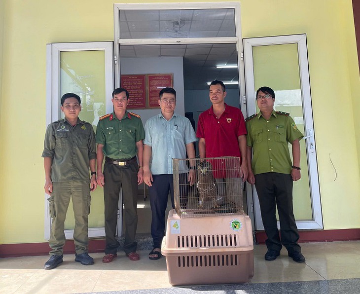 Phát hiện chim quý hiếm trong vườn, người dân làm ngay việc này- Ảnh 1.