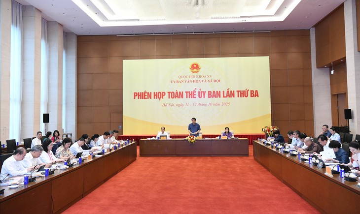 Nhiều dự thảo luật về y tế được Ủy ban VH&XH xem xét, thẩm tra- Ảnh 1.