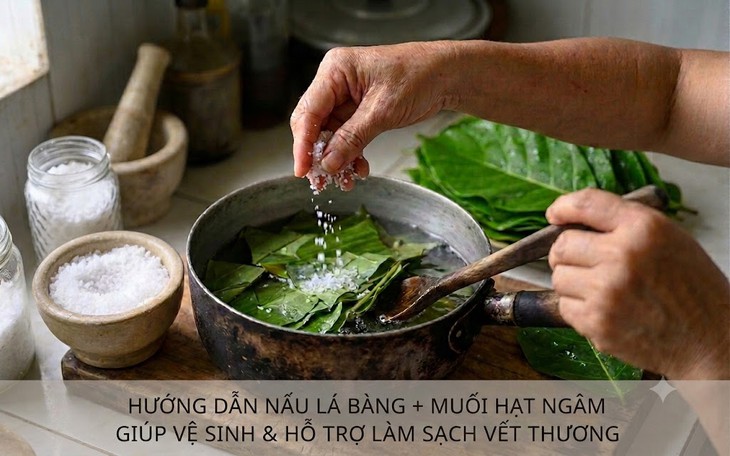 Triết lý Nam dược Việt Nam - Từ sự giản dị đến tư duy khoa học- Ảnh 2.