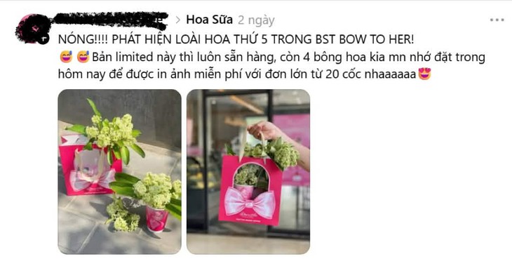 - Ảnh 11.