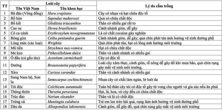 Hà Nội cấm trồng cây trứng cá, dâu da,... tại khu công cộng- Ảnh 2.