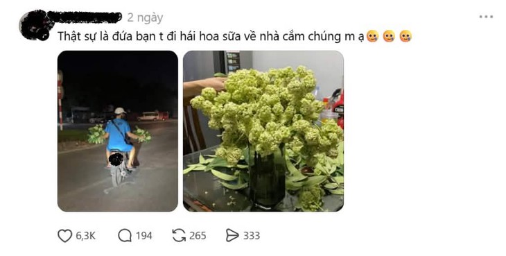 - Ảnh 6.