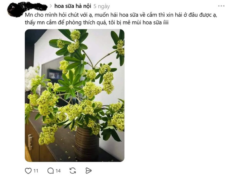 - Ảnh 3.