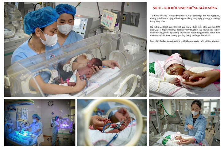 Ấn tượng triển lãm ảnh nghệ thuật Việt Nam bên vịnh Nha Trang - Ảnh 4.