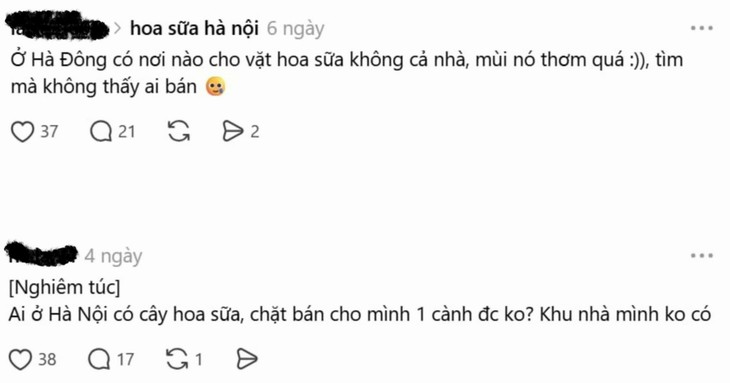 - Ảnh 2.
