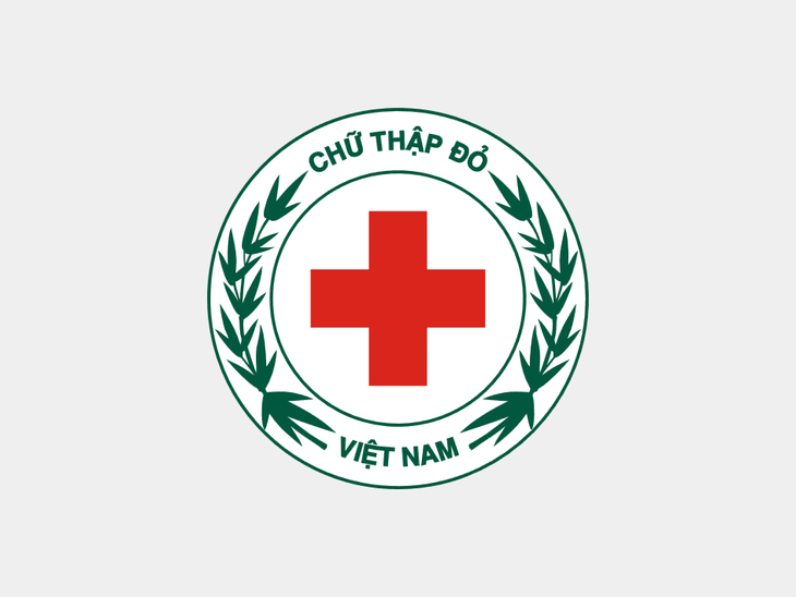 Biểu tượng Chữ thập đỏ ra đời từ đâu và vì sao có ý nghĩa đặc biệt? - Ảnh 3.