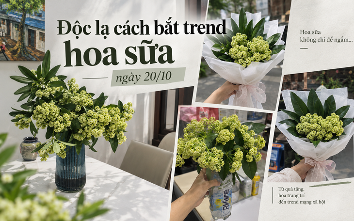 Tại sao Hà Nội trồng nhiều cây hoa sữa?- Ảnh 4.