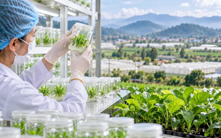 Hai bệnh viện ở Nghệ An giành giải Nhất sáng tạo khoa học, công nghệ năm 2026- Ảnh 3.