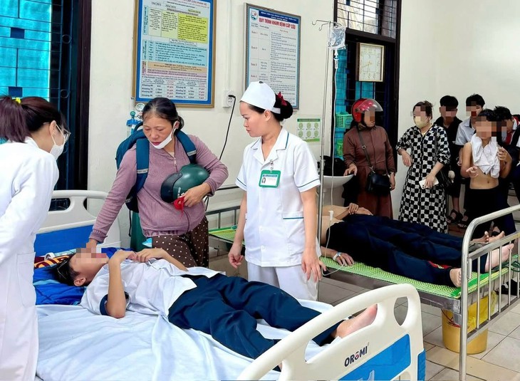 Hàng chục học sinh nhập viện sau khi bị ong đốt- Ảnh 1.