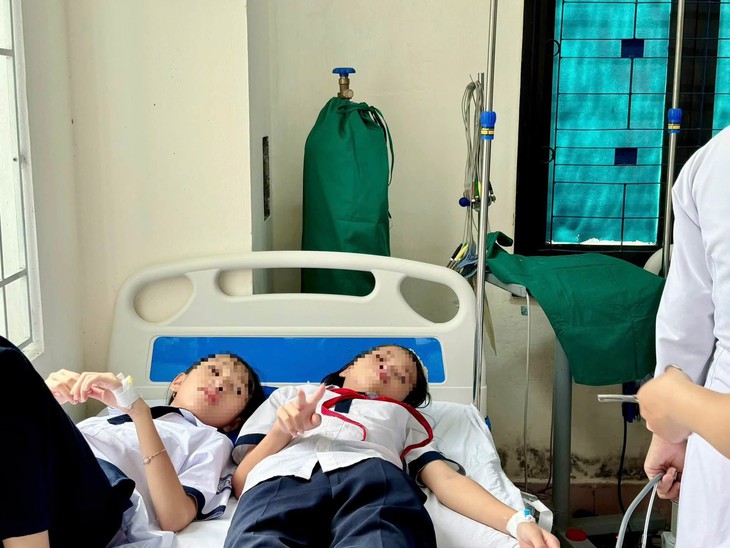 Hàng chục học sinh nhập viện sau khi bị ong đốt- Ảnh 2.