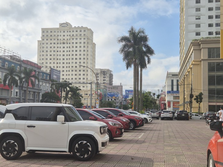 Nghệ An đề xuất thu phí ô tô đỗ tạm trên vỉa hè, lòng đường - Ảnh 1.