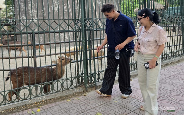Đề xuất 'vừa mở, vừa đóng' Công viên Thủ Lệ: Lãnh đạo Vườn thú nói gì?- Ảnh 6.