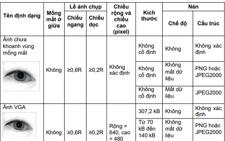  - Ảnh 1.