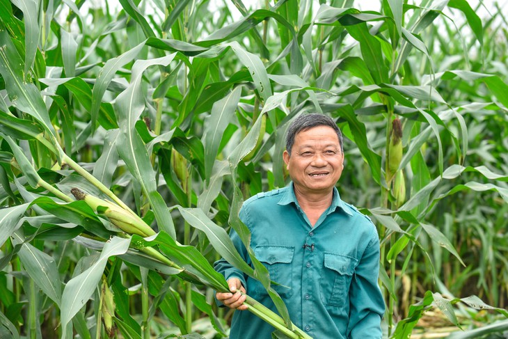 Từ nhà máy đến cộng đồng: khi phát triển bền vững không dừng lại sau cánh cổng- Ảnh 3.