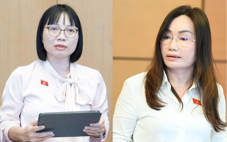 ĐBQH ủng hộ đánh thuế 0,2% đất bỏ hoang, tránh đầu cơ, găm giữ- Ảnh 3.