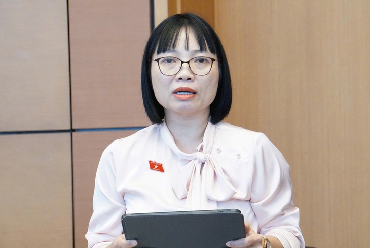 ĐBQH ủng hộ đánh thuế 0,2% đất bỏ hoang, tránh đầu cơ, găm giữ- Ảnh 2.