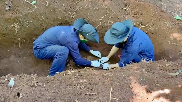 Tìm thấy hài cốt liệt sĩ trong rẫy cà phê từ thông tin của người dân Lào- Ảnh 1.