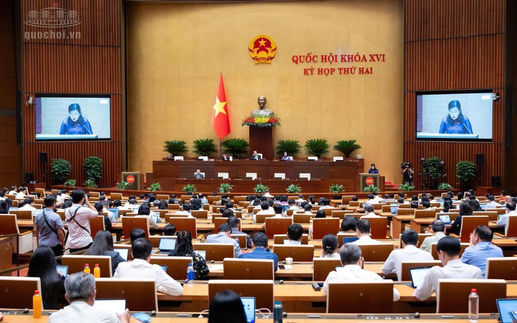 ĐBQH: Đánh giá tác động môi trường phải gắn với sức khỏe người dân- Ảnh 3.