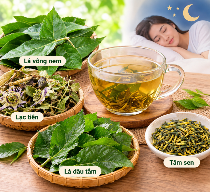 4 bài thuốc kết hợp lá vông nem chữa mất ngủ - Ảnh 1.